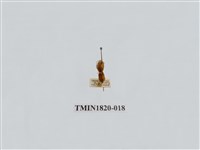 藏品(蔬菜害蟲)的圖片